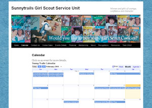 example of a google calendar on a website